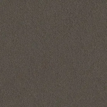 Draufsicht Girloon TWIN Teppichboden Velours 865 Kieselbraun, 2/4 m breit